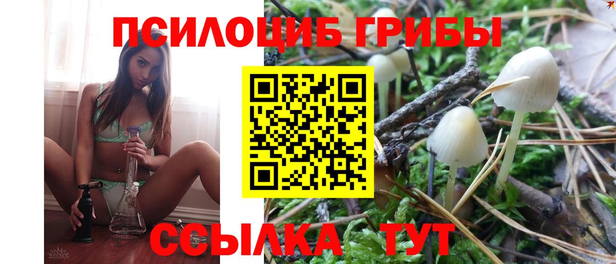 Галлюциногенные грибы Psilocybine cubensis  Псилоцибиновые грибы MAGIC MUSHROOMS  Тосно  Вход с VPN 